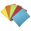 1005CS BASIC COLOR SPECIAL - immagine 2